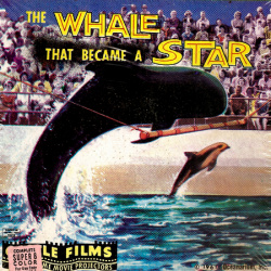 La Baleine qui est devenue une Star "The Whale that became a Star"