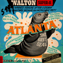 Atlanta, le Phoque gris "Atlanta, the grey Seal"