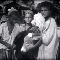 Bim, le petit &Acirc;ne