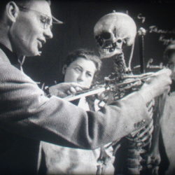 Actualités Revue Filmée de l'Europe 1953 N°10
