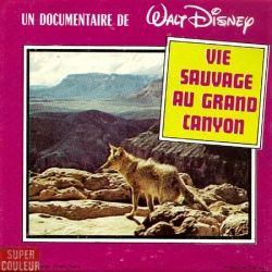 Vie sauvage au Grand Canyon