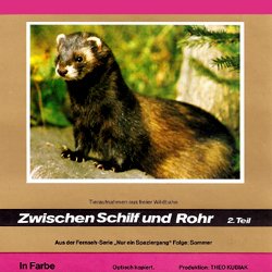 Nur ein Spaziergang "Zwischen Schilf und Rohr" N°2