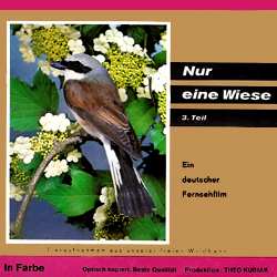 Nur eine Wiese N°3