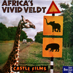 Afrique "Africa's Vivid Veldt"