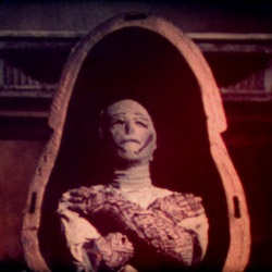The Mummy's Shroud