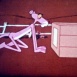 Festival Pinky N°4