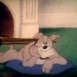 Tom & Jerry "Quiet Please!"