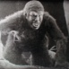 The Lost World