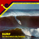 Sport "Surf, les Chevaliers de l'Océan"