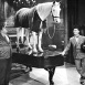 Festival Laurel et Hardy N°5