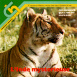 Ces Animaux que l'on dit sauvages "L'Inde mystérieuse"