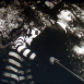 Charlot Aventurier
