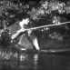 Louisiana Story