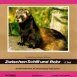 Nur ein Spaziergang "Zwischen Schilf und Rohr" N°2