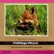 Nur ein Spaziergang "Frühlings-Pirsch"