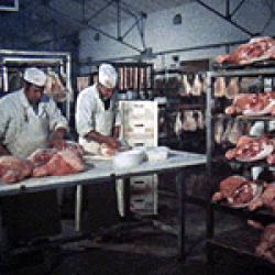 Lard de Cuire et de Sécher