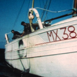 Biologie marine sur les Côtes de Bretagne