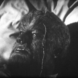 Frankenstein meets the Wolf Man