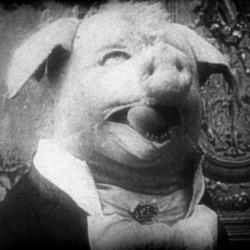 Le Cochon danseur