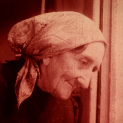 Le Haricot