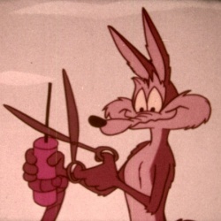 Bip Bip et Coyote "Shot and Bothered"