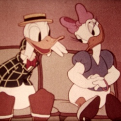 Mr. Duck steps out