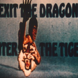 Salut Bruce Lee, Bonjour le Tigre