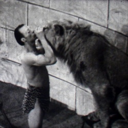 Les Jeux du Cirque "Sauteurs et Dompteurs"