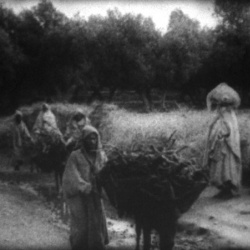 Algérie 1954, la Révolte d'un Colonisé