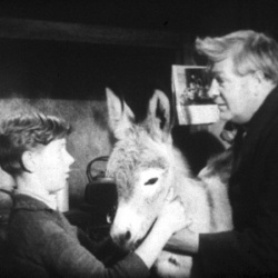 Âne de Tim Driscoll (L')