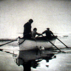 Été polaire