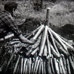 Le Charbon de Bois