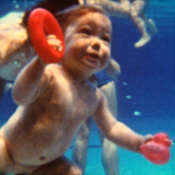 Il n'y a pas de Vie sans Eau