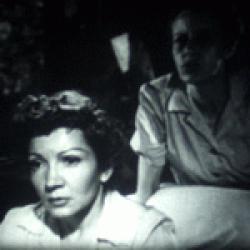 Captives à Bornéo