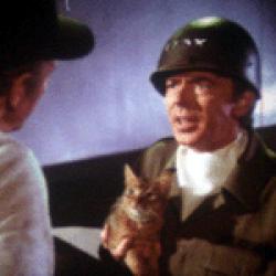 Chat qui vient de l'Espace (Le)