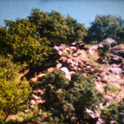 La Rivière à Truites