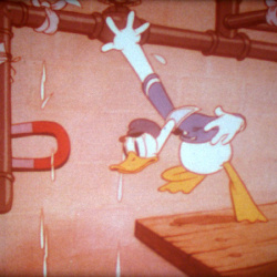 Donald Plombier