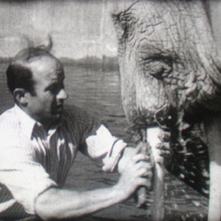 Une Journée au Zoo