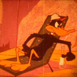 The Astroduck