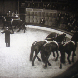 Les Jeux du Cirque "Des Pattes et des Muscles"
