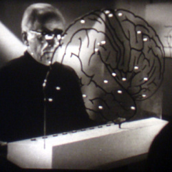 Mabuse attaque Scotland Yard
