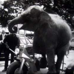 Actualités Fox Movietone 1969 N°24