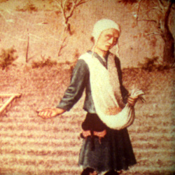 Le Lys et le Léopard 