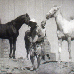 Le Cheval de Boue