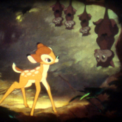 Bambi