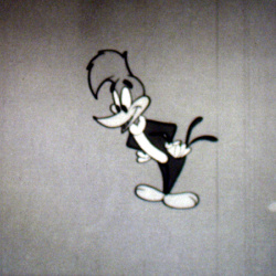 Woody Woodpecker "Woody, Héros de l'Air"