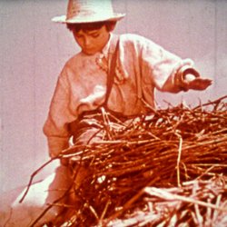 Les Aventures de Naïca "Naïca et la Cigogne"