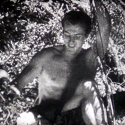 Les Nouvelles Aventures de Tarzan