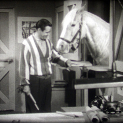 Mister Ed B