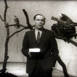 Les Animaux du Monde "Les Rapaces exotiques"